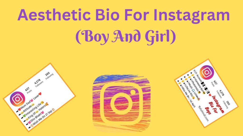 Aesthetic Bio For Instagram (Boy And Girl)